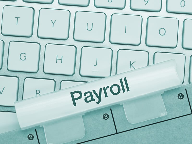 Payroll Services, Including Payroll Tax